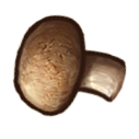 File:Chestnut mushroom.png