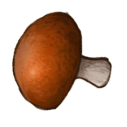 File:Mushroom.cooked.png