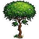 File:African tree.png