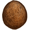 File:Coconut.png