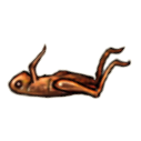 File:Dead cricket.cooked.png