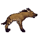 File:Hyeena.png