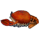 File:Dead crab.cooked.png