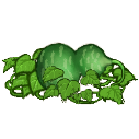 File:Gourd vines.png