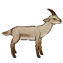 File:Goat.png