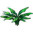 File:Fern 5.png