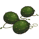File:Desert melon.png
