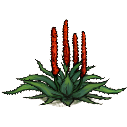 File:Aloe.png