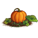 File:Pumpkin plant.png