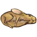File:Dead hopper.png