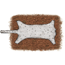 File:Floor dirt.cat white carpet.png