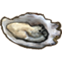 File:Oyster.opened.png