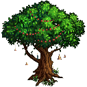 File:Big tree.xmas.png