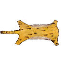 File:Big cat skin.png