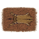 File:Floor dirt.howler carpet.png