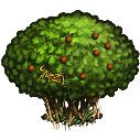 File:Berry bush.with cricket.png
