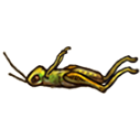 File:Dead cricket.png