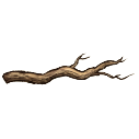 File:Dead branch.png