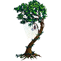 File:Bent tree.cocoon.png