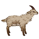 File:Goat woolly.with fur.png
