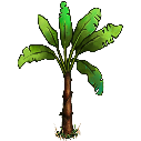 File:Banana tree.png