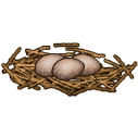 File:Nest.png