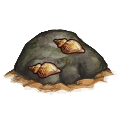 File:Beach stone 2.png