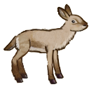 File:Goat baby.png